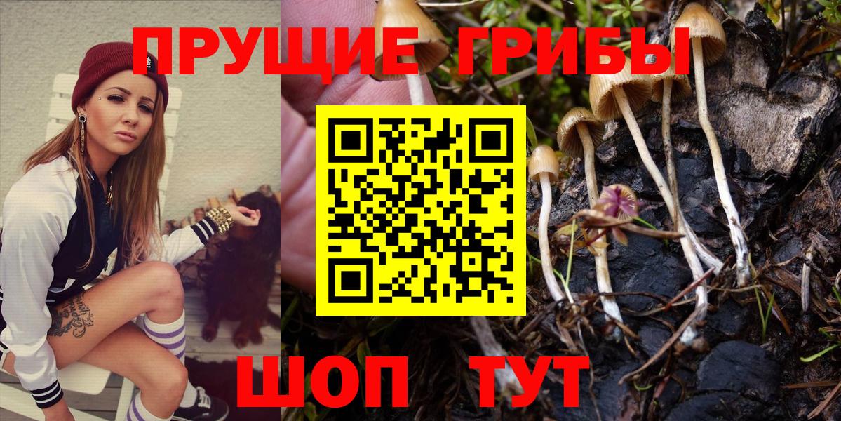 Галлюциногенные грибы прущие грибы Лабинск