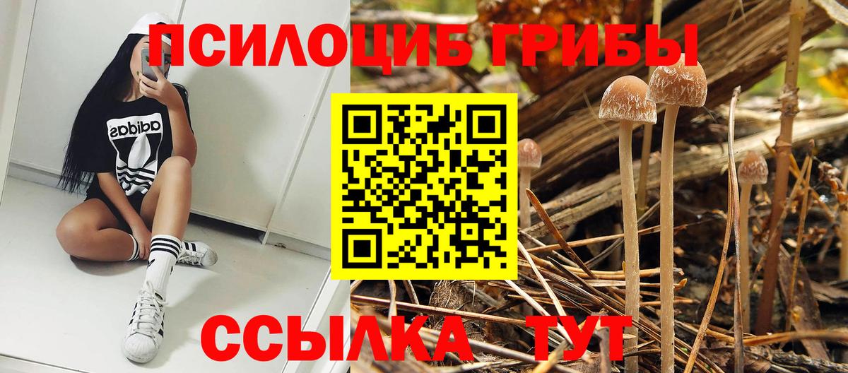 Галлюциногенные грибы прущие грибы  Вход с VPN  Псилоцибиновые грибы прущие грибы  Лабинск 